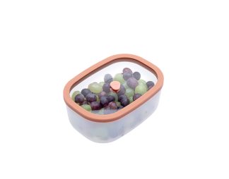 status fresko posoda za vakuumiranje