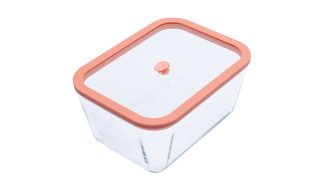 Status viva steklena posoda 2,6 litra losos barva