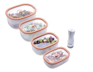 Fresko set vakuumskih posod z baterijsko črpalko BVP 50, 5-delni - losos